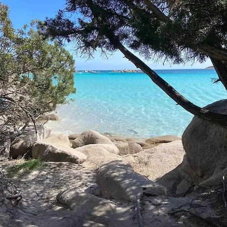 Piscine Porto Vecchio U Mateliciu Apartment *