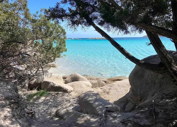 Piscine Porto Vecchio U Mateliciu شقة *